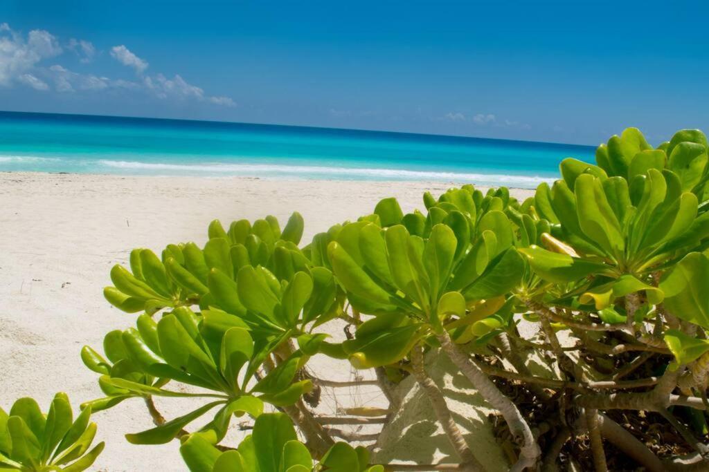 Ocean Front Villa Marlin, Best Location In Hotel Zone #109 Cancún Exteriér fotografie